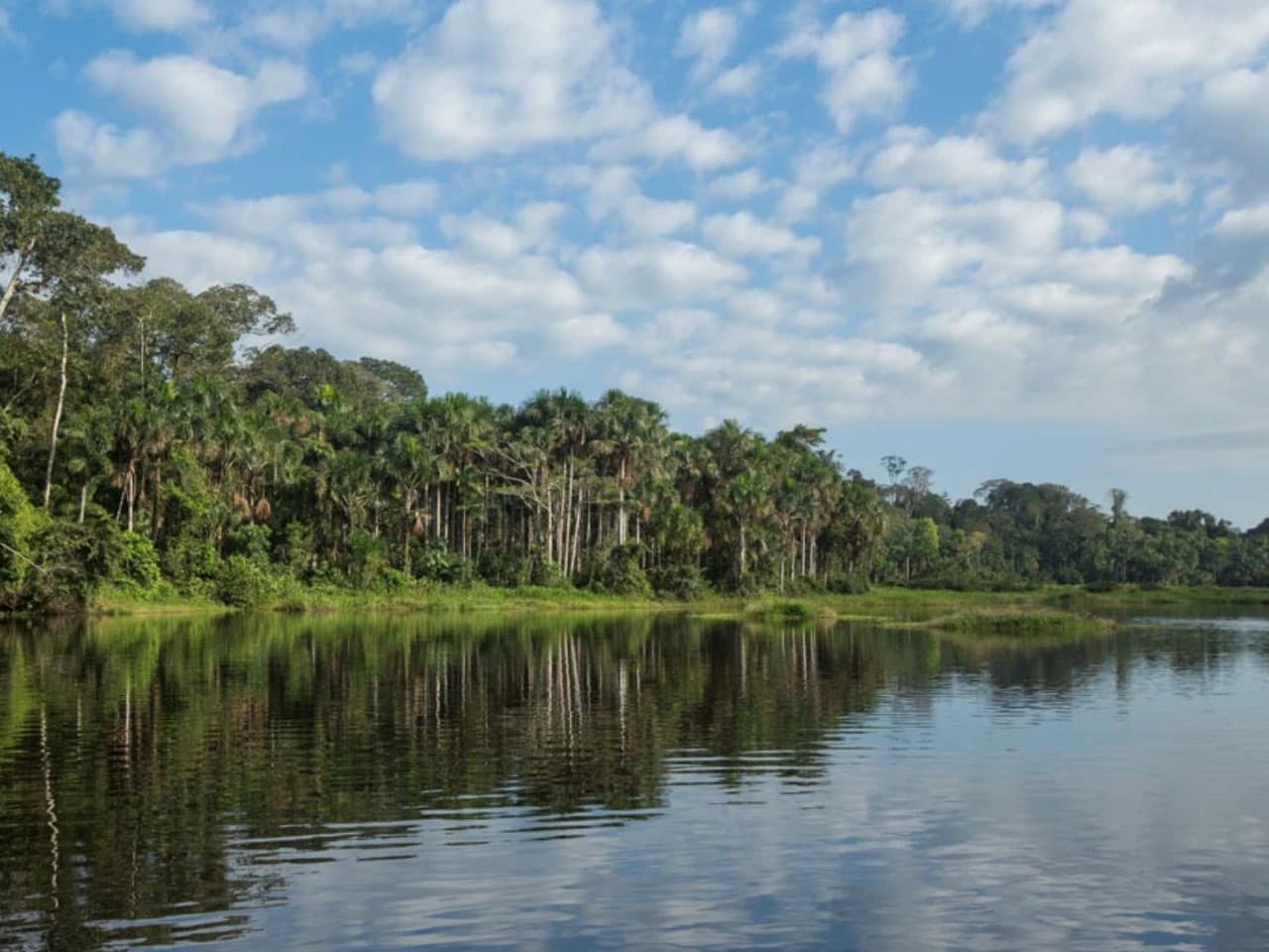 Tambopata